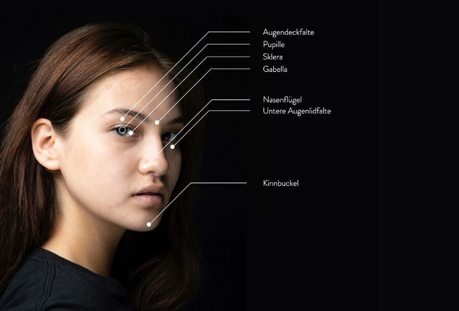 Anatomische Punkte des Gesichts – Mimikresonanz Training